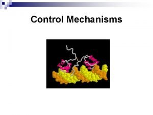 Control Mechanisms Four Levels of Control of Gene