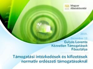 2019 december 12 Gulys Levente Kzvetlen Tmogatsok Fosztlya