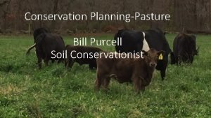 Conservation PlanningPasture Bill Purcell Soil Conservationist What are
