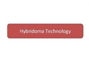 Hybridoma technology steps