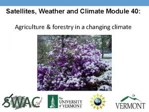 Satellites Weather and Climate Module 40 Agriculture forestry