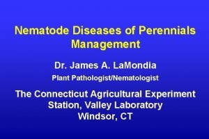 Nematode Diseases of Perennials Management Dr James A