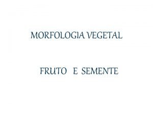 Morfologia vegetal fruto