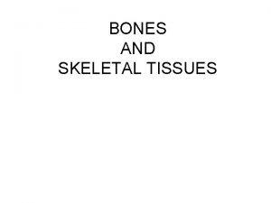 BONES AND SKELETAL TISSUES SKELETAL CARTILAGES Skeletal cartilages