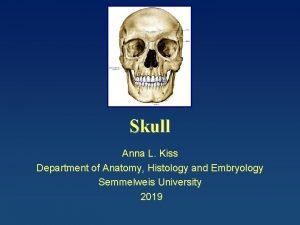 Skull Anna L Kiss Department of Anatomy Histology