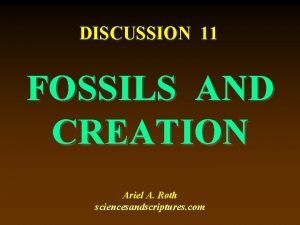 DISCUSSION 11 FOSSILS AND CREATION Ariel A Roth