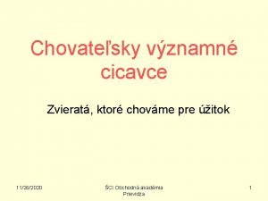 Chovatesky vznamn cicavce Zvierat ktor chovme pre itok