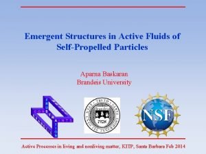 Emergent Structures in Active Fluids of SelfPropelled Particles