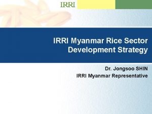 IRRI Myanmar Rice Here Sector Presentation Title Goes