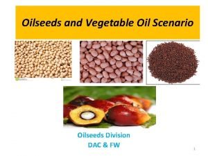 Oilseeds and Vegetable Oil Scenario Oilseeds Division DAC