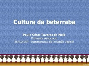 Cultura da beterraba Paulo Csar Tavares de Melo