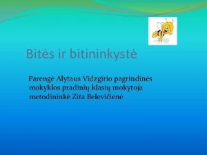 Bits ir bitininkyst Pareng Alytaus Vidzgirio pagrindins mokyklos