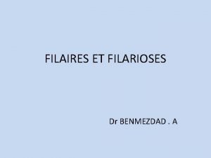 FILAIRES ET FILARIOSES Dr BENMEZDAD A Les filarioses