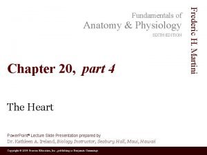 Anatomy Physiology SIXTH EDITION Chapter 20 part 4