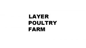 LAYER POULTRY FARM LAYER FARM 13 SYSTEMi e