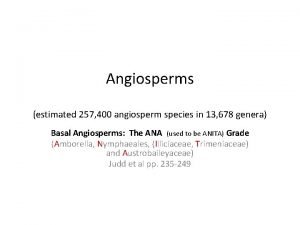 Ana grade angiosperms