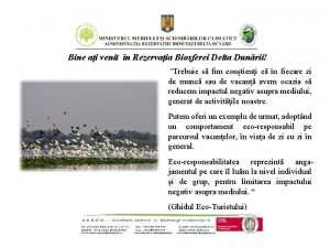 Permis intrare delta