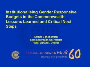 Institutionalising Gender Responsive Budgets in the Commonwealth Lessons