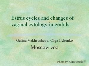 Estrus cycles and changes of vaginal cytology in