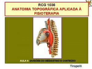 RCG 1036 ANATOMIA TOPOGRFICA APLICADA FISIOTERAPIA AULA 8