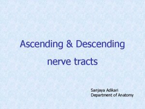 Ascending Descending nerve tracts Sanjaya Adikari Department of