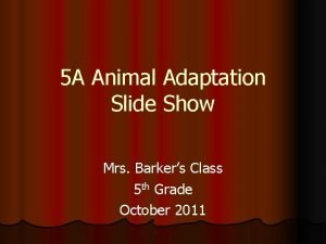5 A Animal Adaptation Slide Show Mrs Barkers