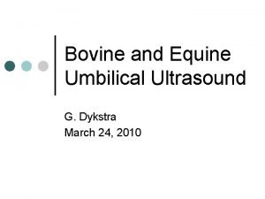 Bovine and Equine Umbilical Ultrasound G Dykstra March