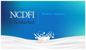 Ncdfi emarket Ncdfi emarket