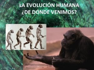 LA EVOLUCIN HUMANA DE DNDE VENIMOS La infinidad