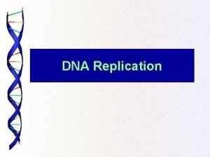 The principle enzyme involved in dna replication is called