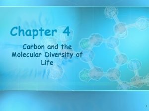 Chapter 4 Carbon and the Molecular Diversity of