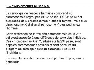 II CARYOTYPES HUMAINS Le caryotype de lespce humaine