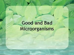 What is the microorganisms