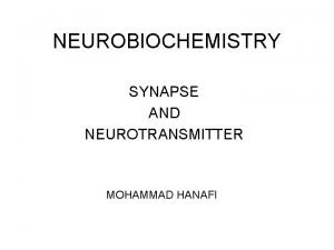 Neurotransmitter synthesis