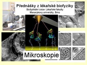 Pednky z lkask biofyziky Biofyzikln stav Lkask fakulty