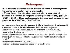 Reazione formazione metano
