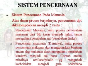 SISTEM PENCERNAAN A Sistem Pencernaan Pada Manusia Atas