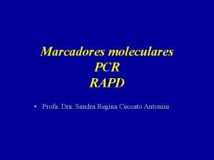 Marcadores moleculares PCR RAPD Profa Dra Sandra Regina