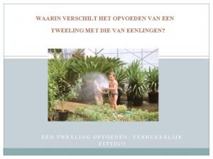 Tweeling opvoeden