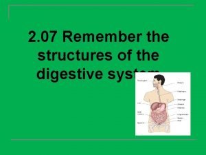 Chapter 7:11 digestive system labeling