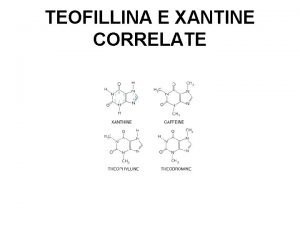 Exantine