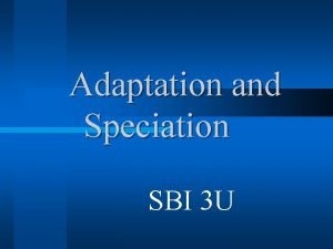 Adaptation and Speciation SBI 3 U Adaptation Any