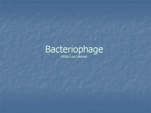 Bacteriophage Hilla Lee Viener Bacteriophages Definition History n