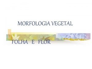 MORFOLOGIA VEGETAL FOLHA E FLOR FOLHA Conceito um