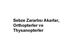 Sebze Zararls Akarlar Orthopterler ve Thysanopterler ube Arthropoda