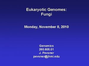Eukaryotic Genomes Fungi Monday November 8 2010 Genomics