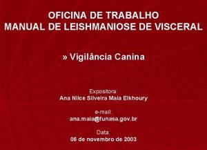 OFICINA DE TRABALHO MANUAL DE LEISHMANIOSE DE VISCERAL