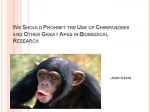 WE SHOULD PROHIBIT THE USE OF CHIMPANZEES AND