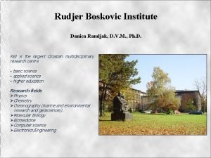 Rudjer Boskovic Institute Danica Ramljak D V M
