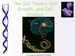 The Cell Theory Cell Growth and Cell Division